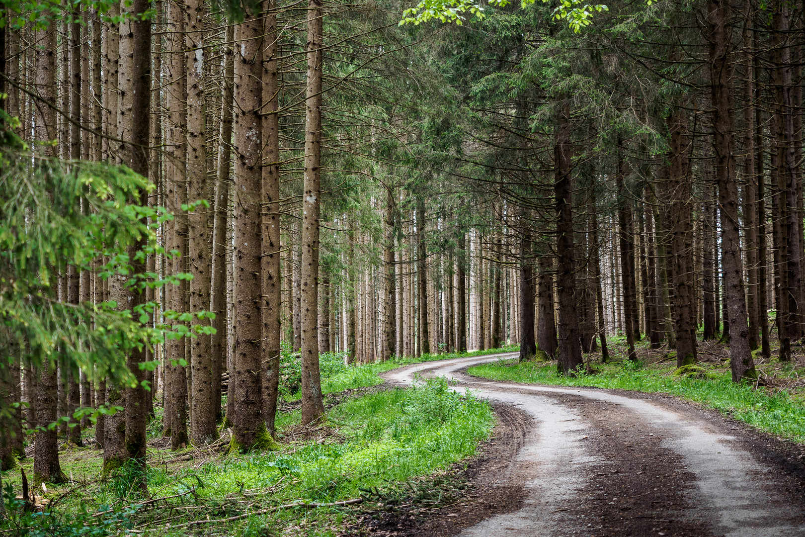 Auf dem Weg nach Stötten am Auerberg V. 2016-05-16.