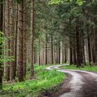 Auf dem Weg nach Stötten am Auerberg V. 2016-05-16.