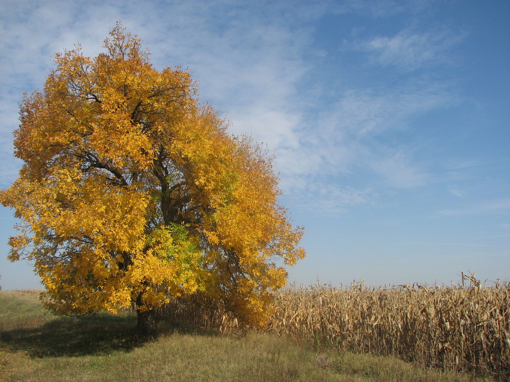 auf dem weg nach Subotica