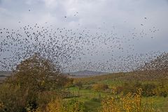 Auf dem Weg nach Süden...