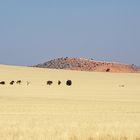 Auf dem Weg nach Swakopmund