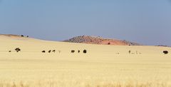 Auf dem Weg nach Swakopmund