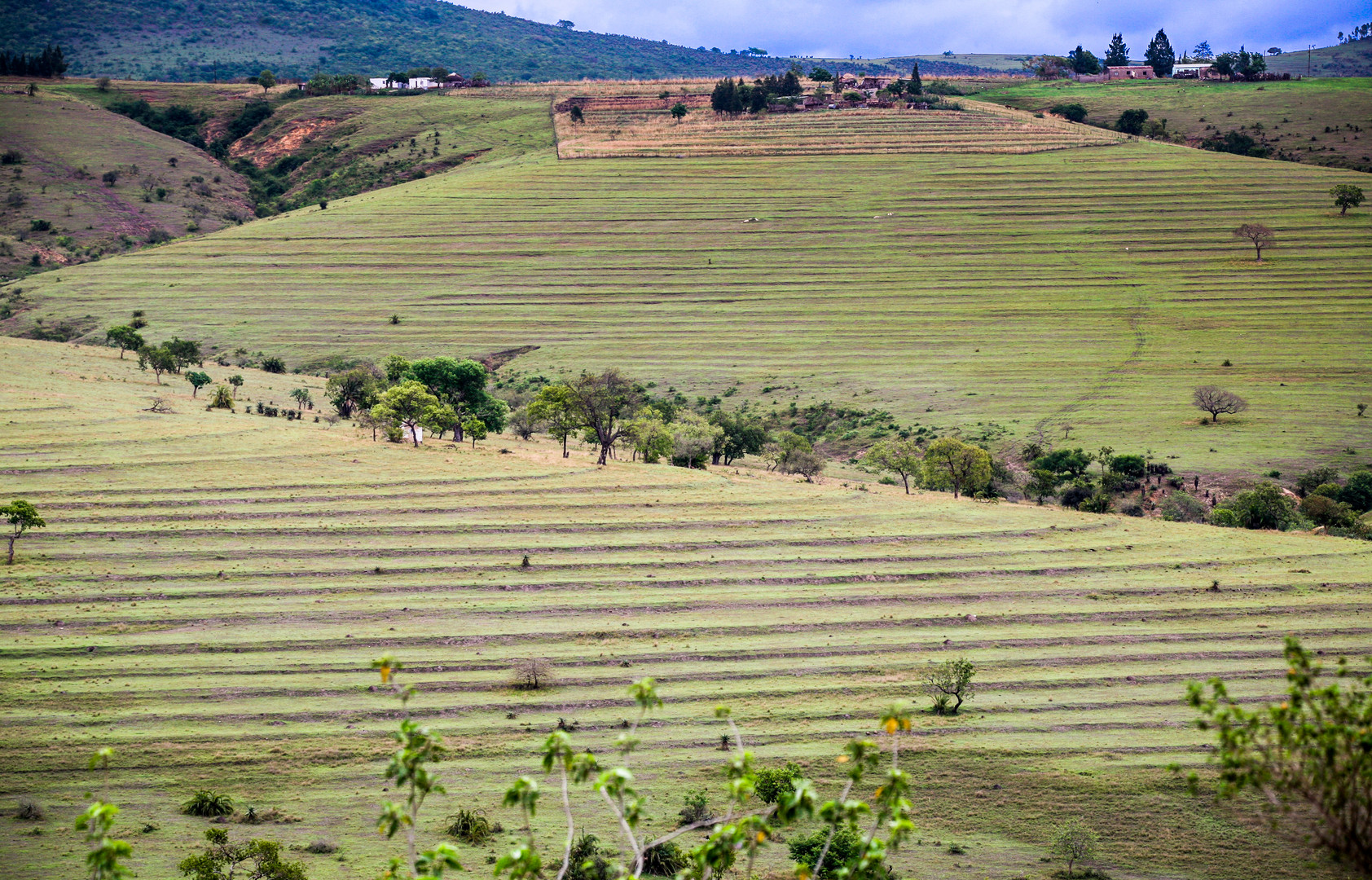 Auf dem Weg nach Swaziland