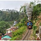 Auf dem Weg nach Tindharia