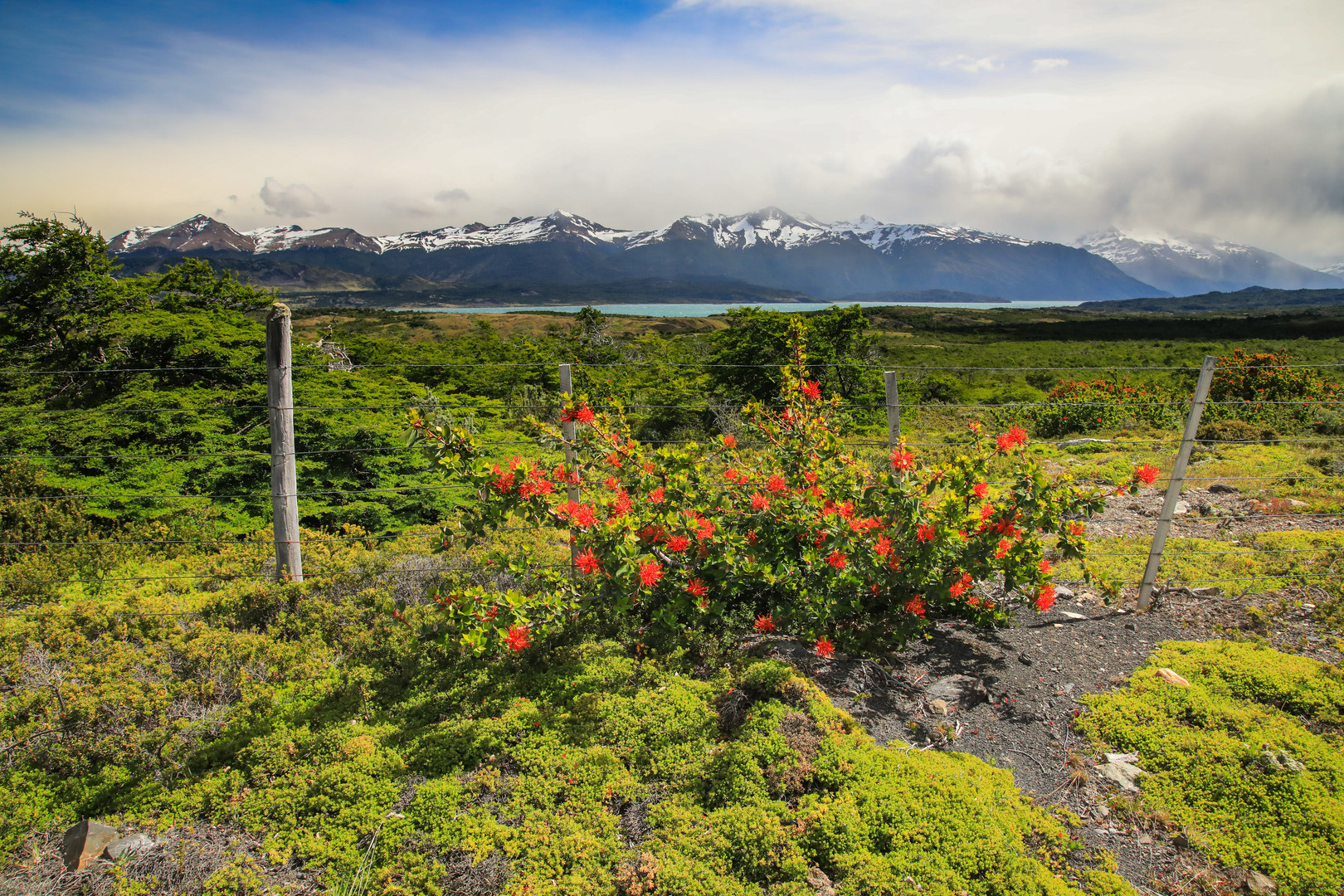 Auf dem Weg nach Torres del Paine 1