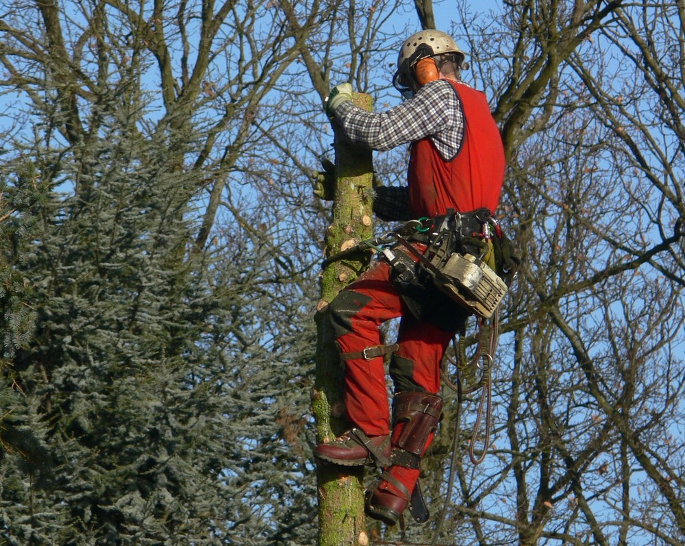 Auf dem Weg nach unten