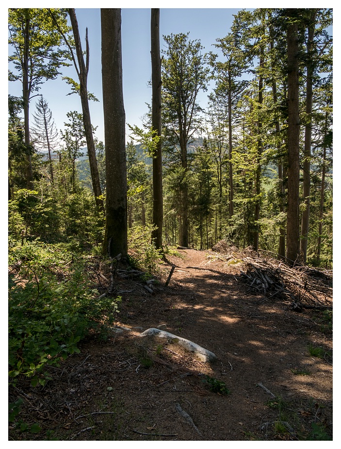 Auf dem Weg nach unten