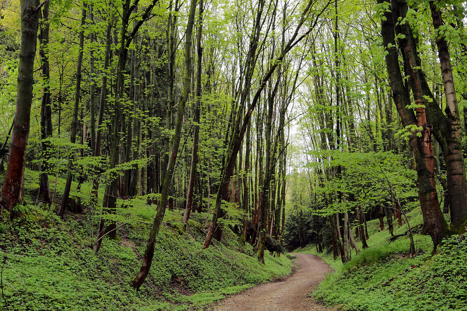 Auf dem Weg nach Unterberghausen. 2015/05/02.