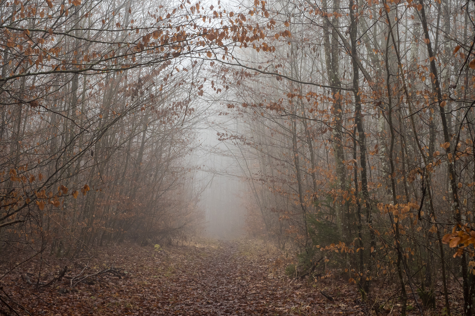 Auf dem Weg nach Urspring II. 2016-01-02.