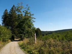 Auf dem Weg nach Willingen