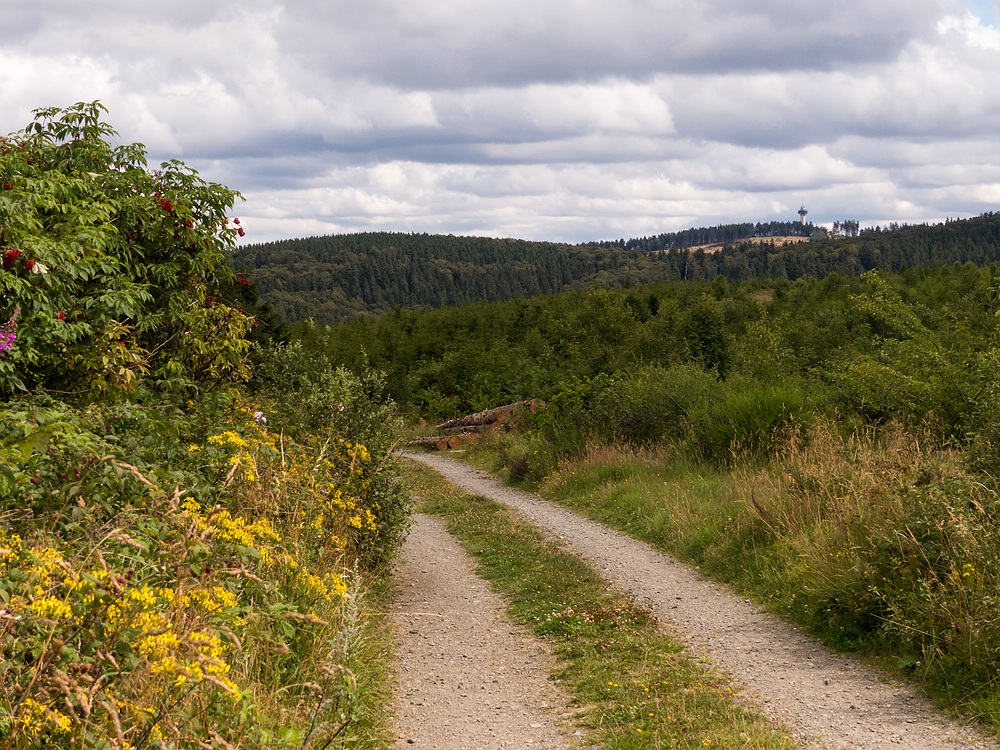 Auf dem Weg nach Willingen