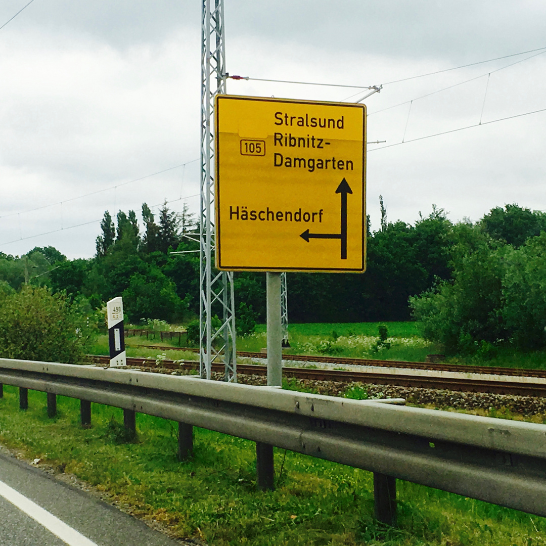 auf dem Weg nach Zingst  Häschendorf