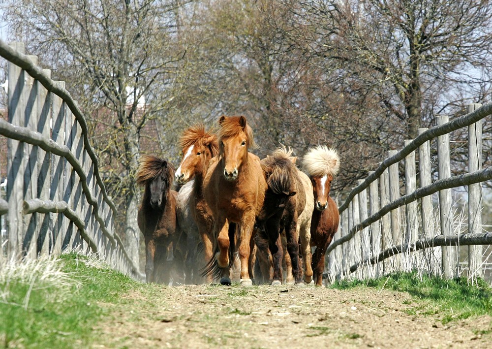 Auf dem Weg (reload)