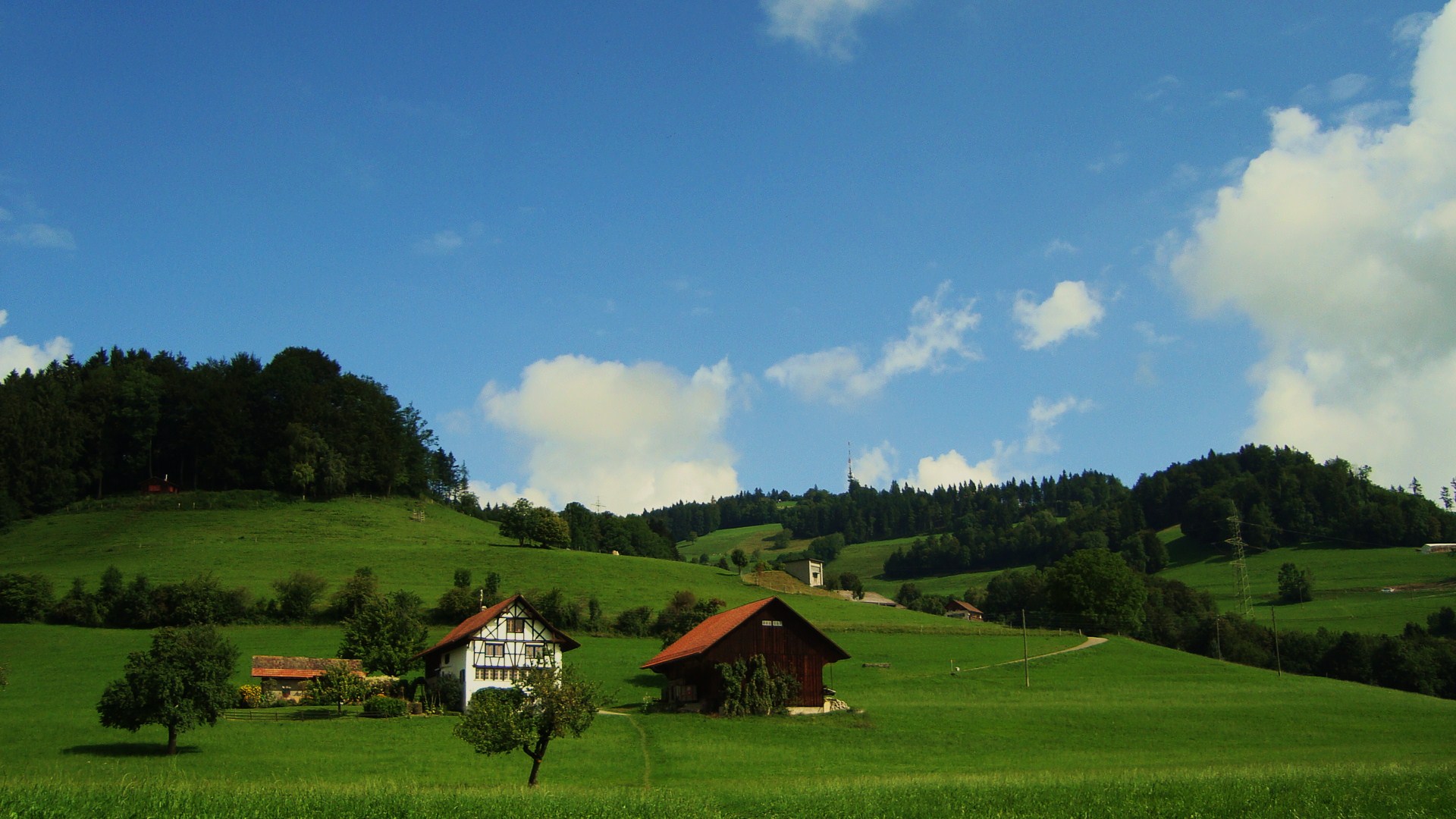 auf dem Weg Richtung Bachtel (ZH)