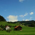 auf dem Weg Richtung Bachtel (ZH)