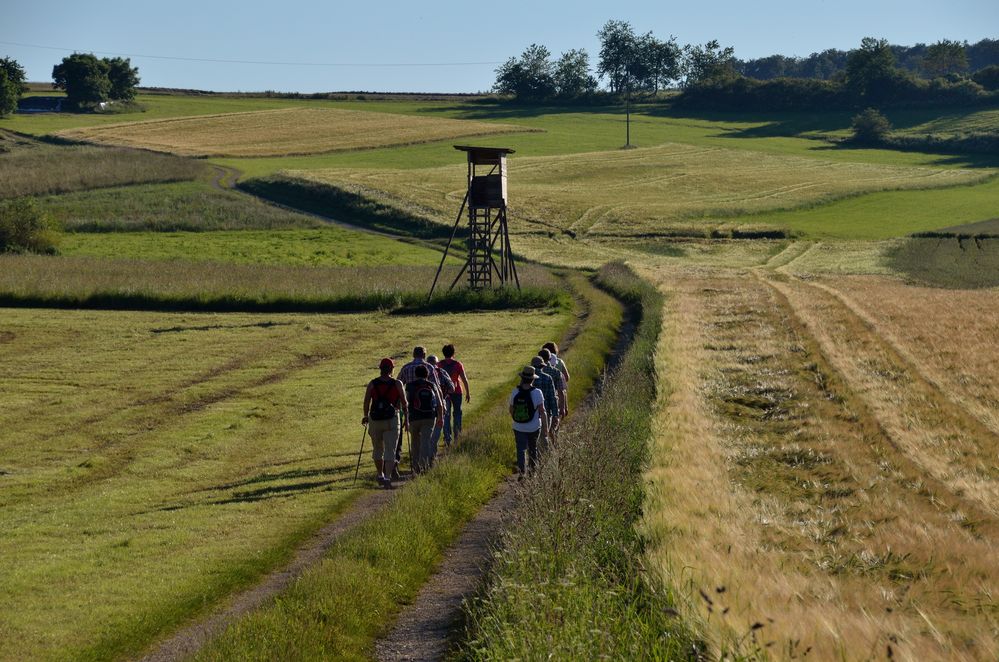 Auf dem Weg sein 