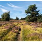 Auf dem Weg über die Hochheide