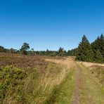 Auf dem Weg über die Hochheide