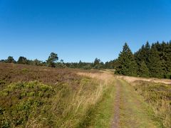 Auf dem Weg über die Hochheide