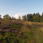 Auf dem Weg über die Hochheide