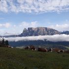 Auf dem Weg von Bozen rauf zum Ritten