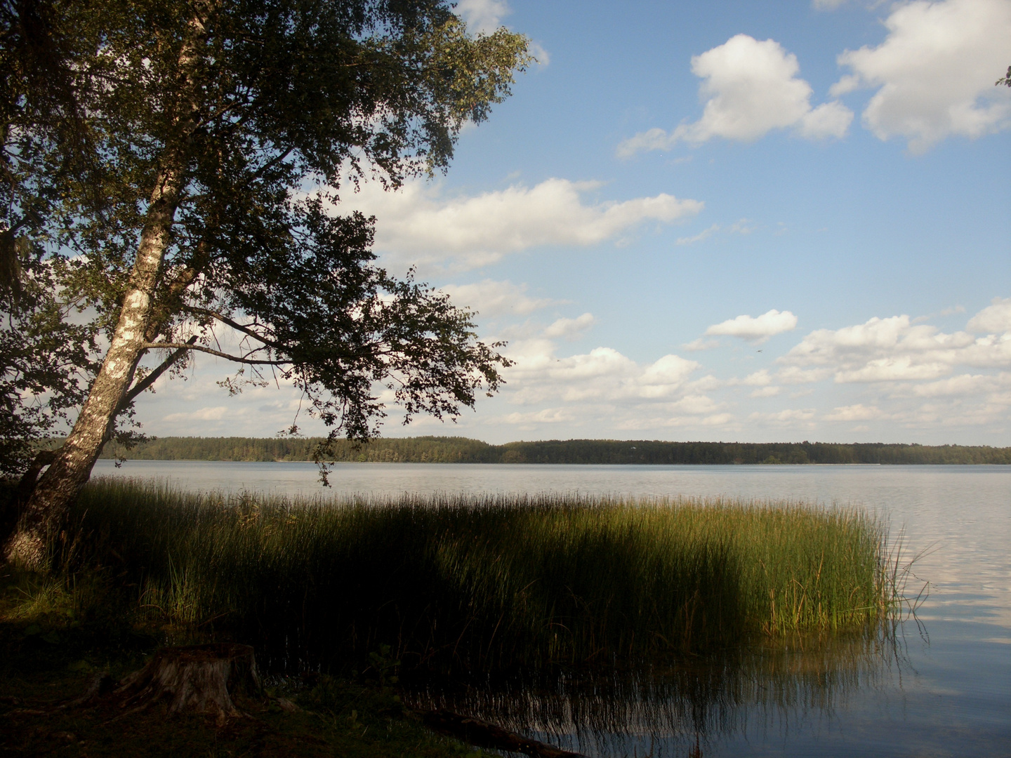 auf dem Weg von Moskau nach St.Petersburg