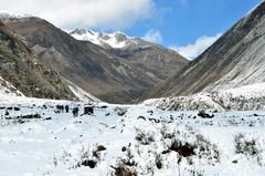 Auf dem Weg von Samagaon nach Samdo in 3600 m Höhe