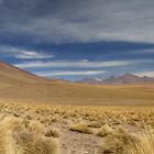 Auf dem Weg von San Pedro de Atacama zu den Geysiren "El Tatio"