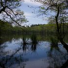 Auf dem Weg zu den Kreidefelsen