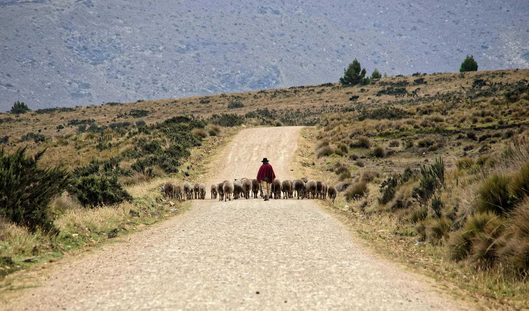 auf dem Weg zu den Lagunen von Ozogoche