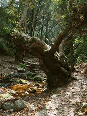 Auf dem Weg zu den Potami-Wasserfällen 