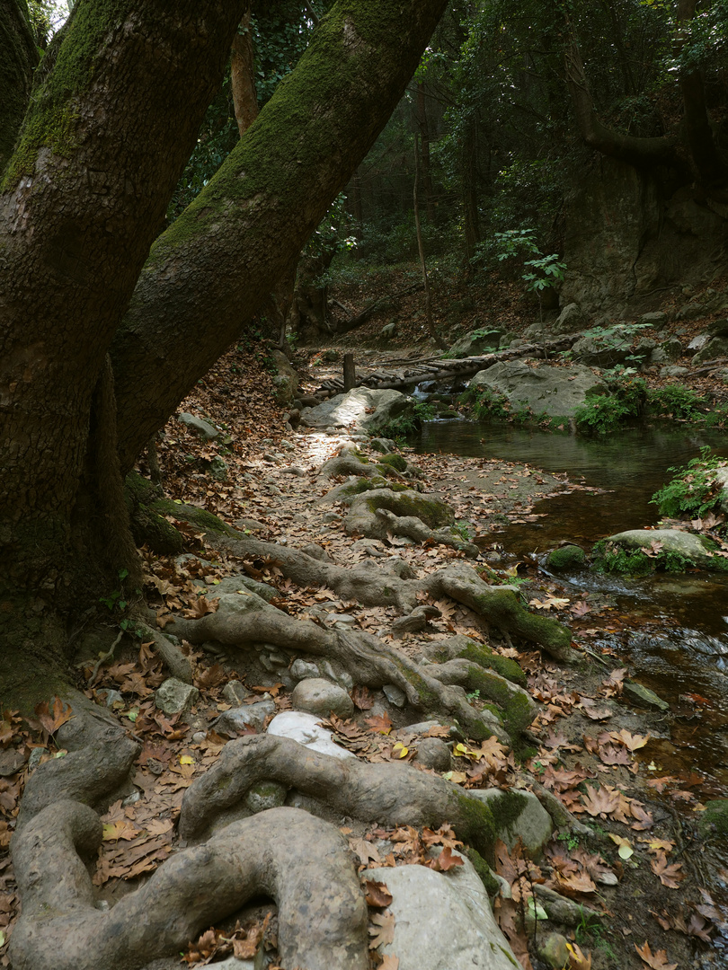 Auf dem Weg zu den Potami-Wasserfällen_2 