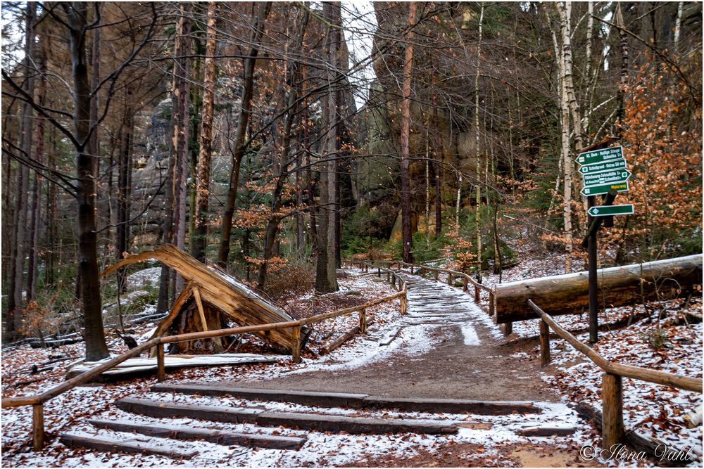 Auf dem Weg zu den Schrammsteinen (03)