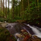 auf dem Weg zu den Wasserfällen