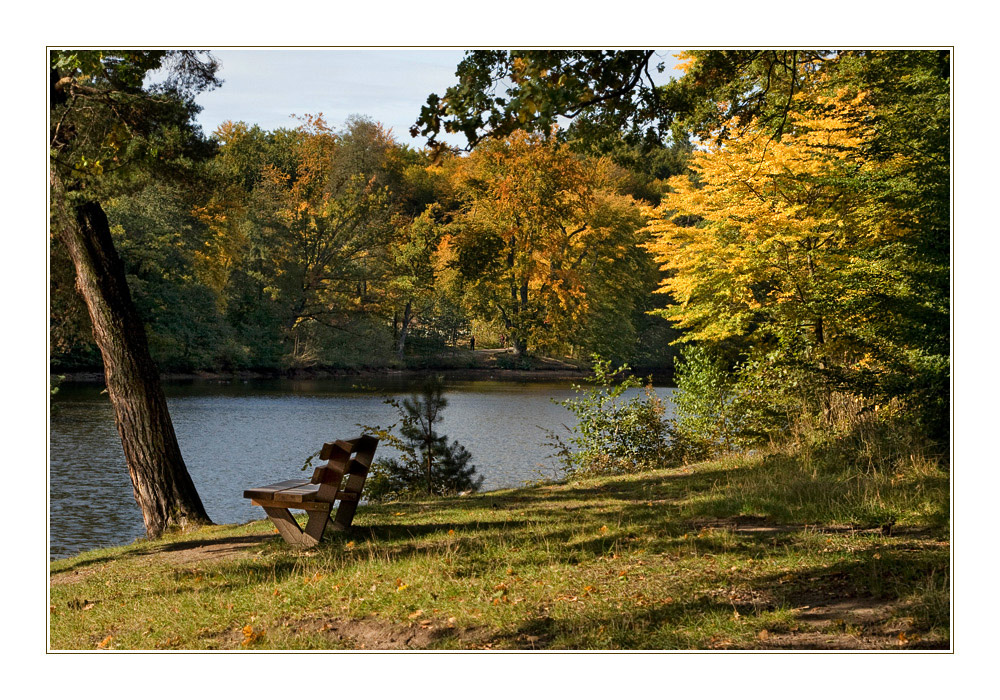 Auf dem Weg zu den Wildparkseen Stuttgart II.  -  Ruhe.... calmness.... calme ....