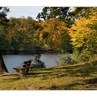 Auf dem Weg zu den Wildparkseen Stuttgart II.  -  Ruhe.... calmness.... calme ....