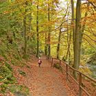 Auf dem Weg zu Edmundsklamm und Prebischtor