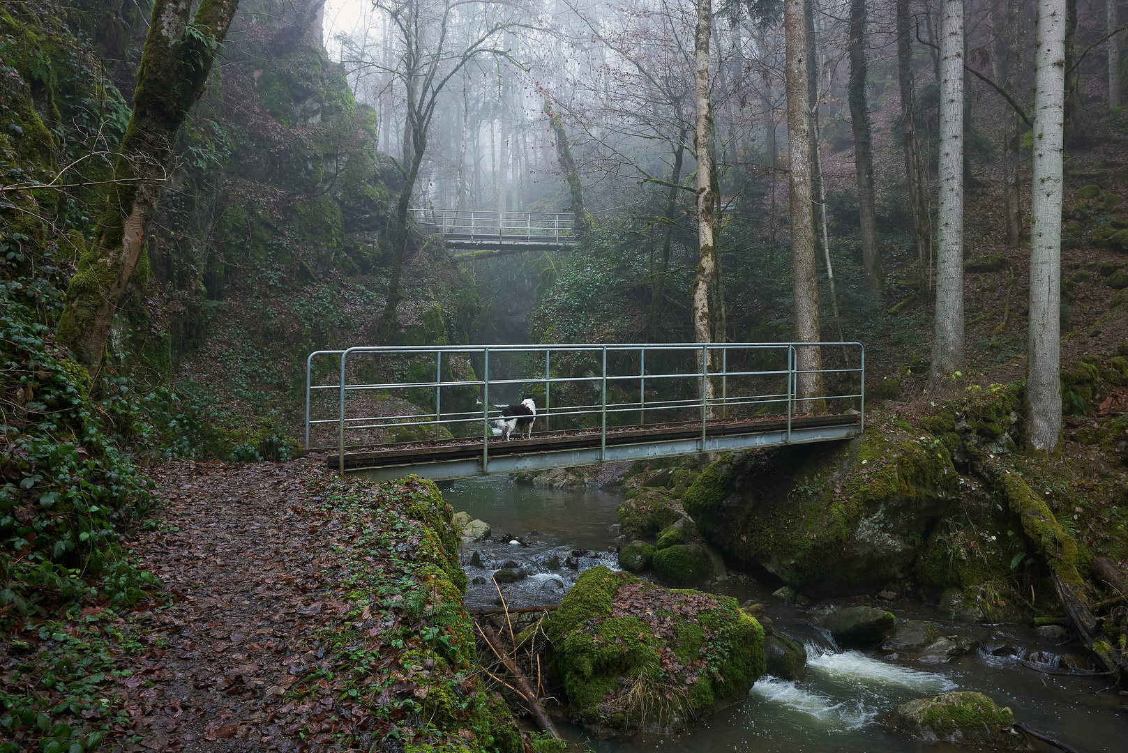 Auf dem Weg zu einem klenen Wasserfall