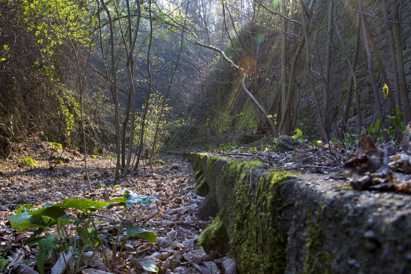 auf dem Weg zu einem lost places in Hameln