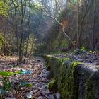 auf dem Weg zu einem lost places in Hameln