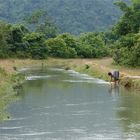 auf dem weg zu einen hausfest, laos 2010