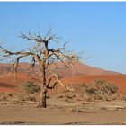 Auf dem Weg zu HIdden Vlei