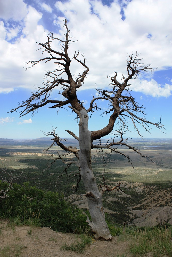 Auf dem Weg zu Mesa Verde