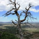 Auf dem Weg zu Mesa Verde