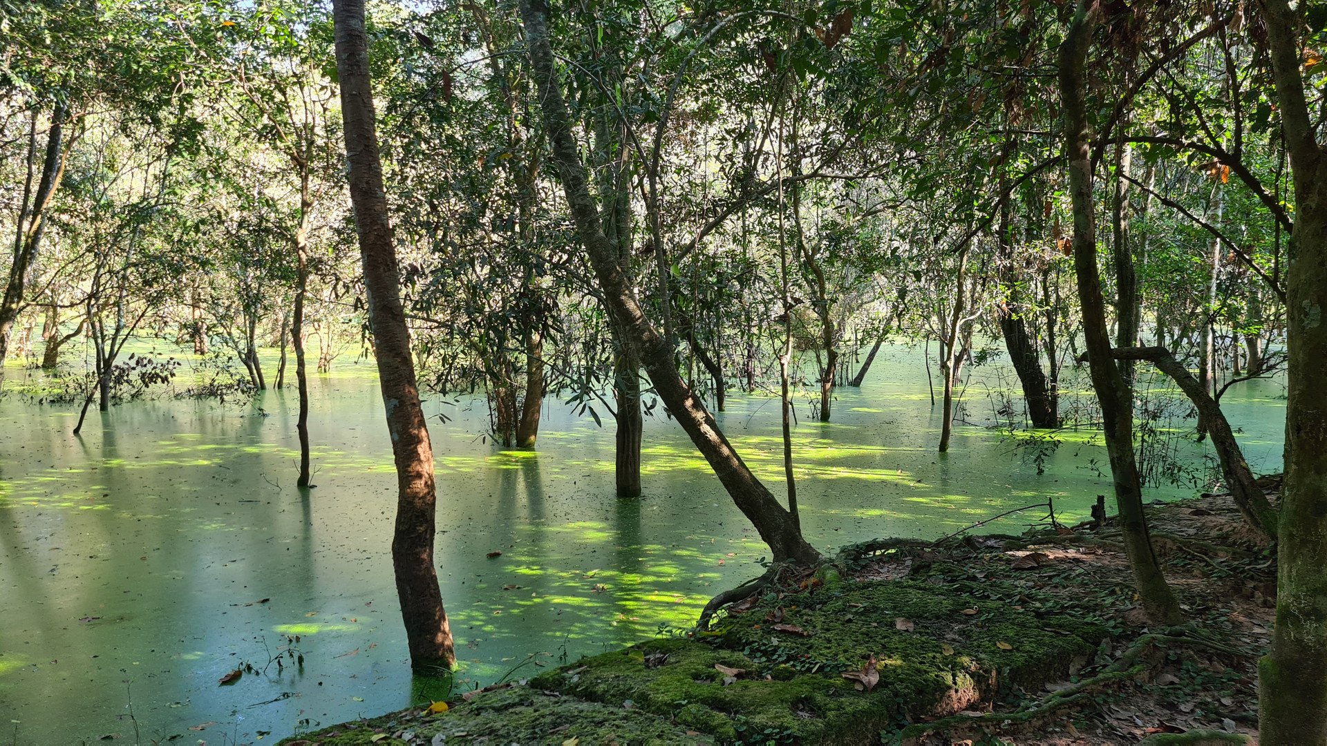 Auf dem Weg zu Preah Khan