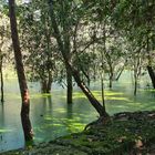 Auf dem Weg zu Preah Khan