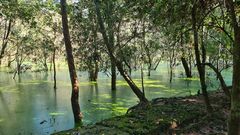 Auf dem Weg zu Preah Khan