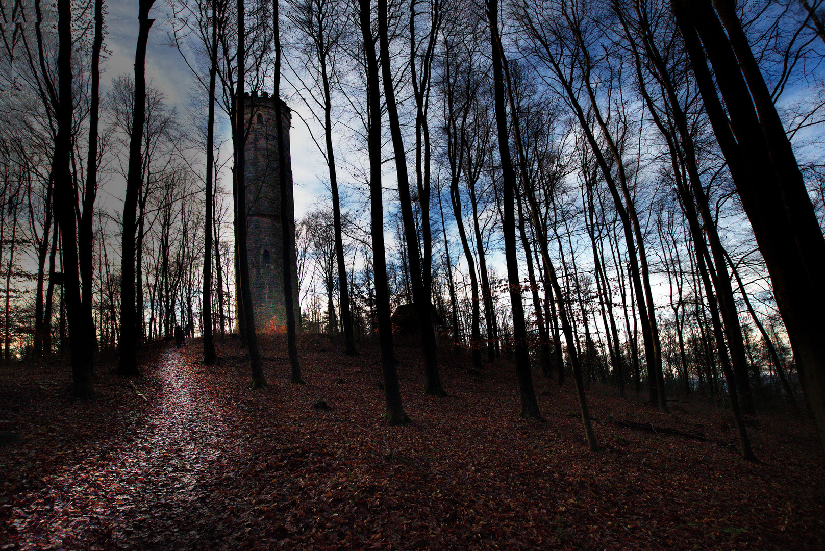 auf dem Weg zu Rapunzel