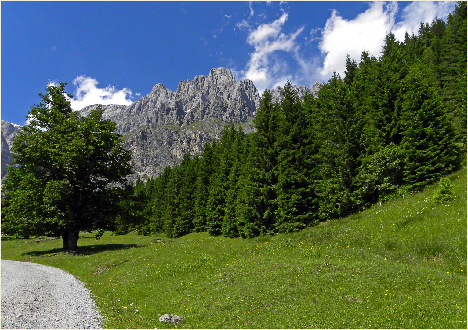 Auf dem Weg zu Rieding Alm 1...