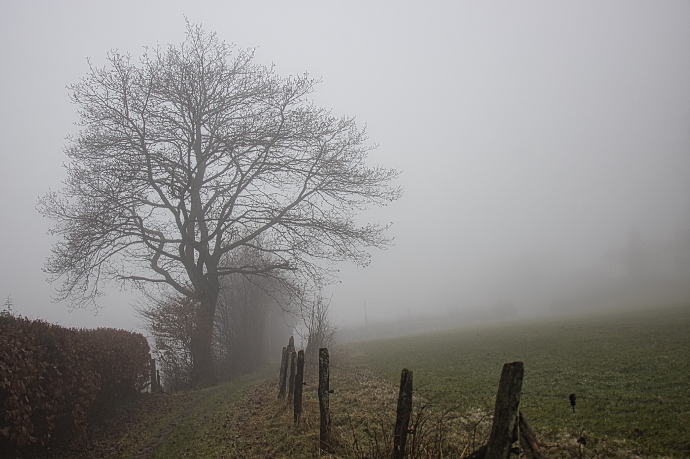 auf dem Weg zum alten Friedhof